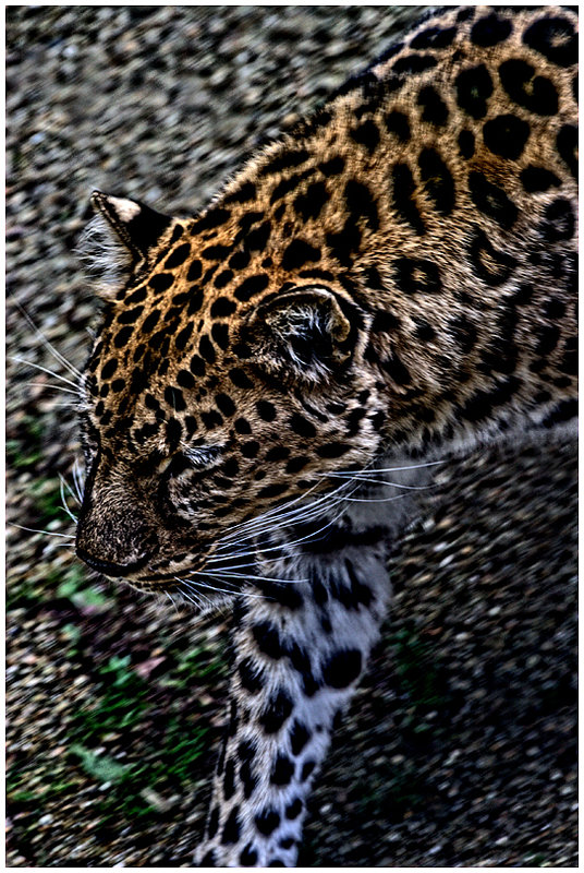 IMG_4918_hdr_edited-1