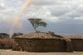 amboseli.jpg