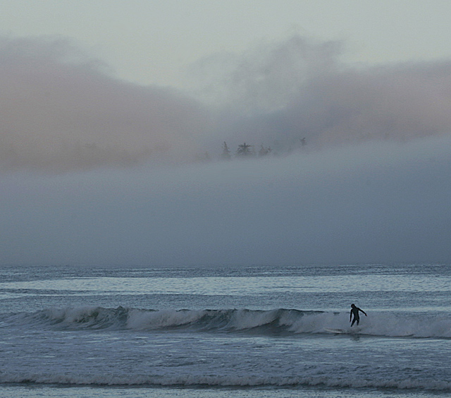 surfer.jpg