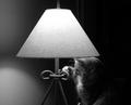 It's way too bright in here - B/W