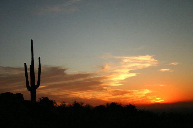 Desert Sunset