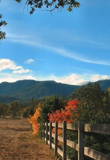 Autumn Fencepost