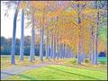 Fall impressions