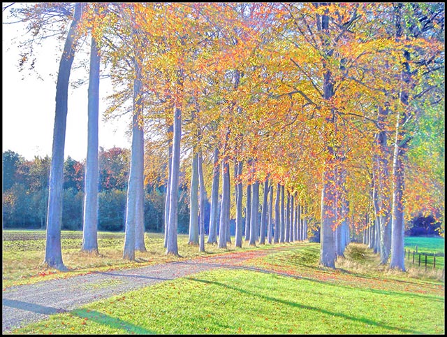 Fall impressions