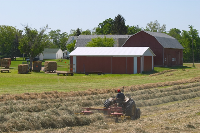 [Country Life] Raking The Hay