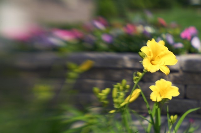 Lensbaby Sample IV