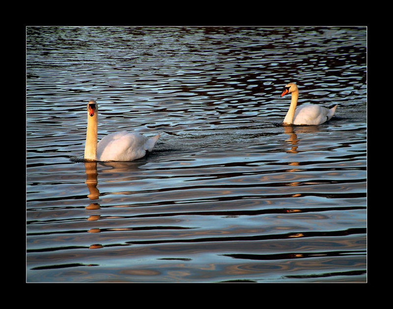 sunset-pair.jpg