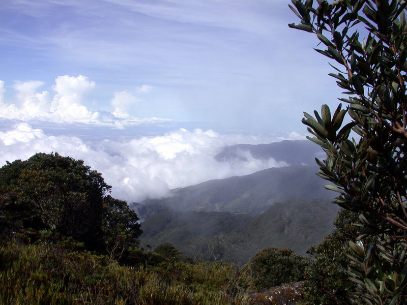 Above the Clouds