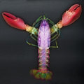 An x-ray of a lobster