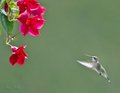 IMG_1307web.jpg