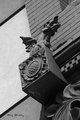 IMG_5151bw web