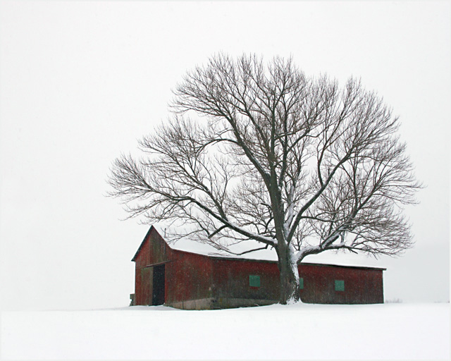 Greene County Barn