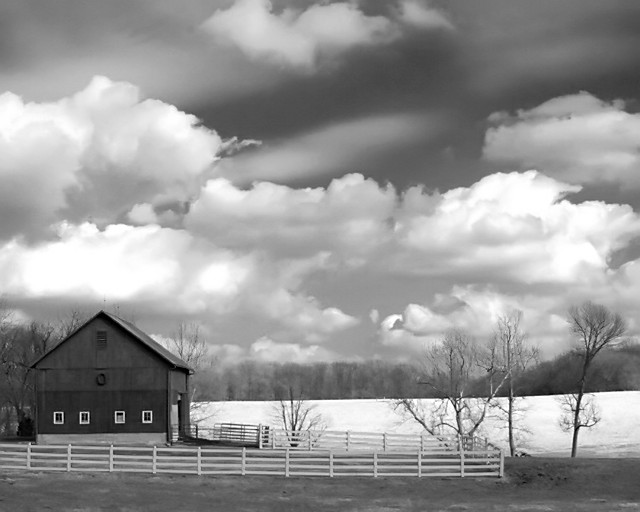 White Fence