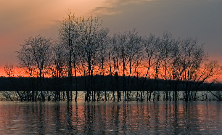 IMG_8661 web