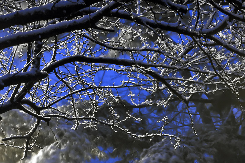 IMG_0821web
