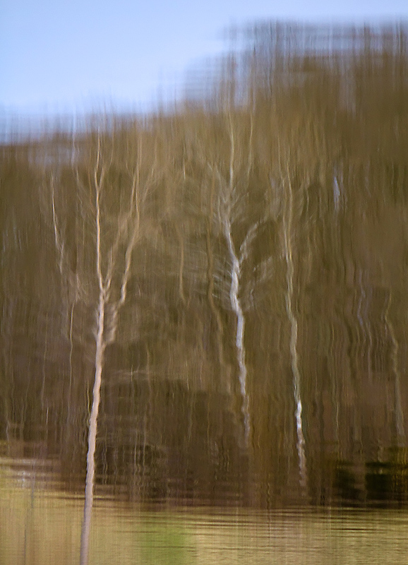 IMG_1099 web