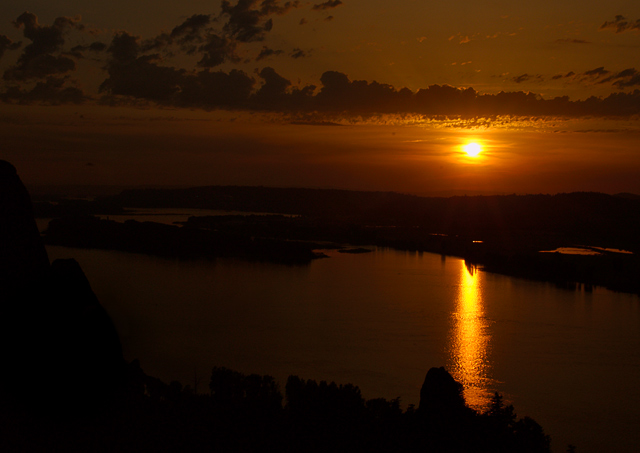 golden glow