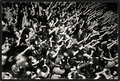 BFMV11.jpg