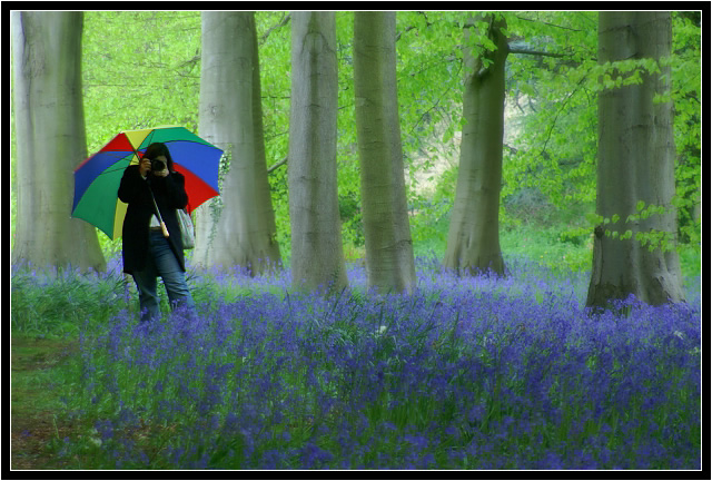 Kate with Bluebells