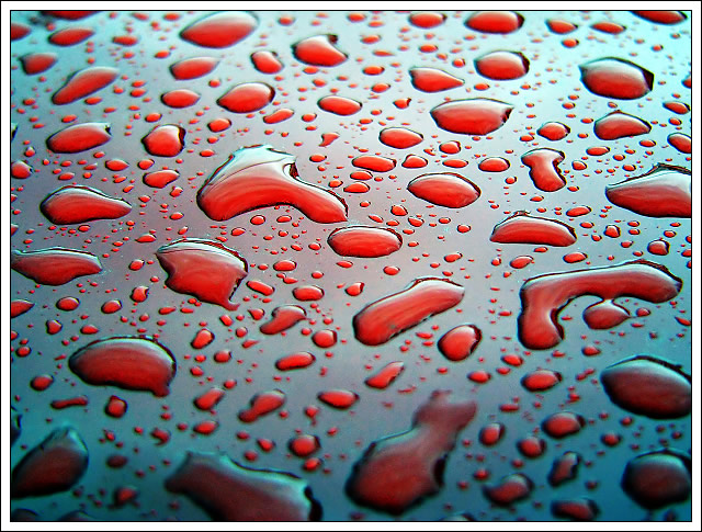 Raindrops on Car