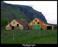 Old Sheep Farm