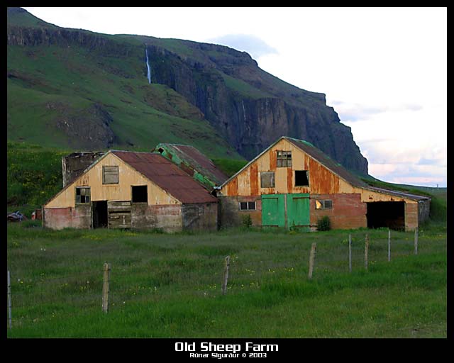 Old Sheep Farm