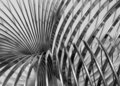 Slinky I