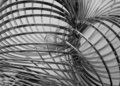Slinky IV