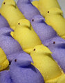 Yellow and Purple Peeps