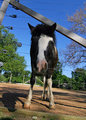 5x7-IMG_0553a_dpc.jpg