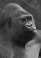 5x7-IMG_0476a_dpc.jpg