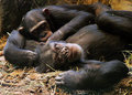5x7-IMG_0459a_dpc.jpg