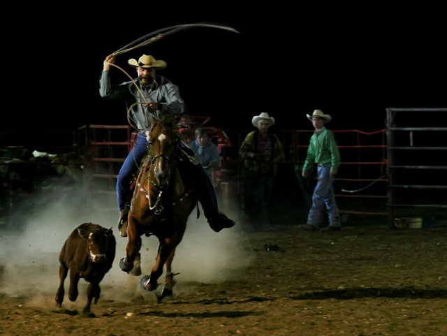 Rodeo Action