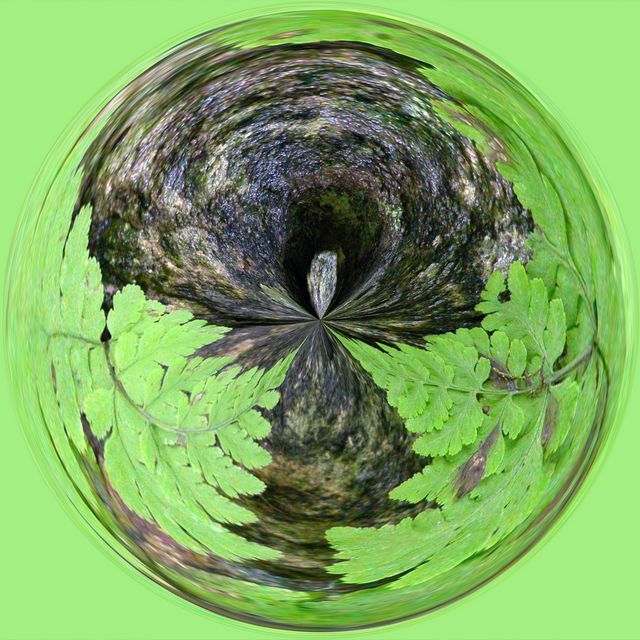 Ferngully Marble
