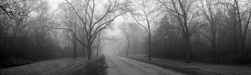 Into the Fog
