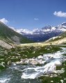 alpine stream