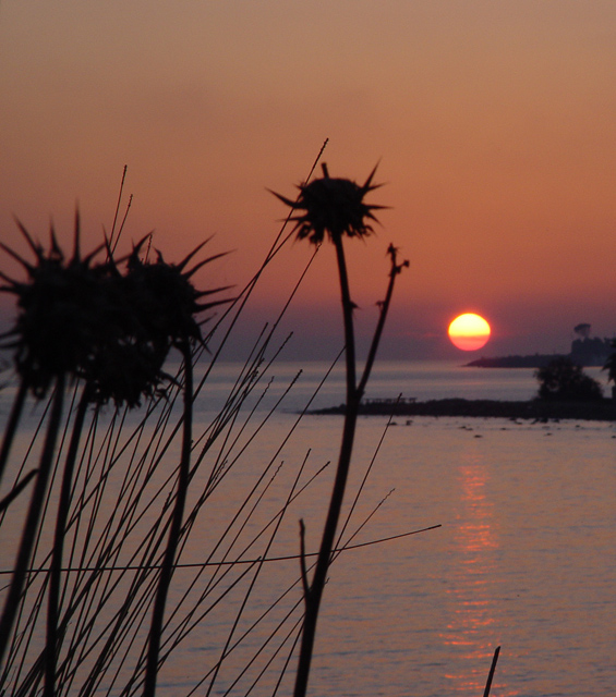 Italian Sunset