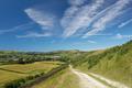Corfe Castle from The Purbeck Way