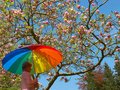 It's Raining - Magnolia Petals!