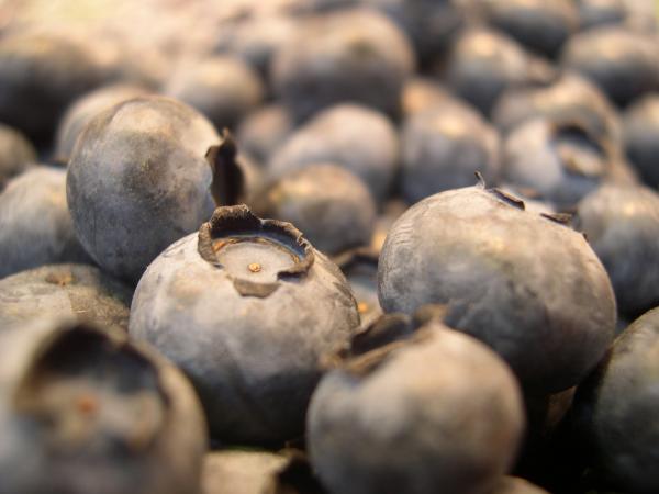 Blueberries