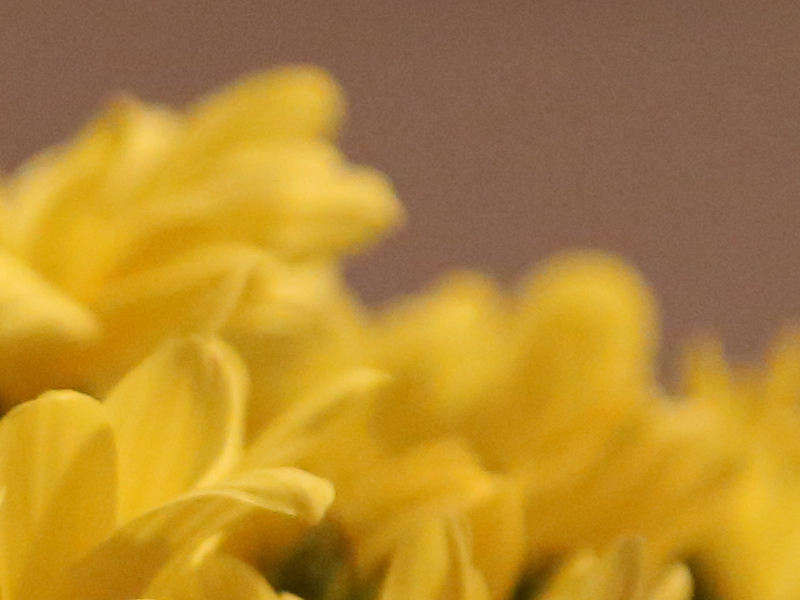 0018_crop - Copy