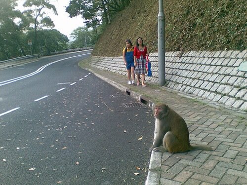 Waiting for the bus