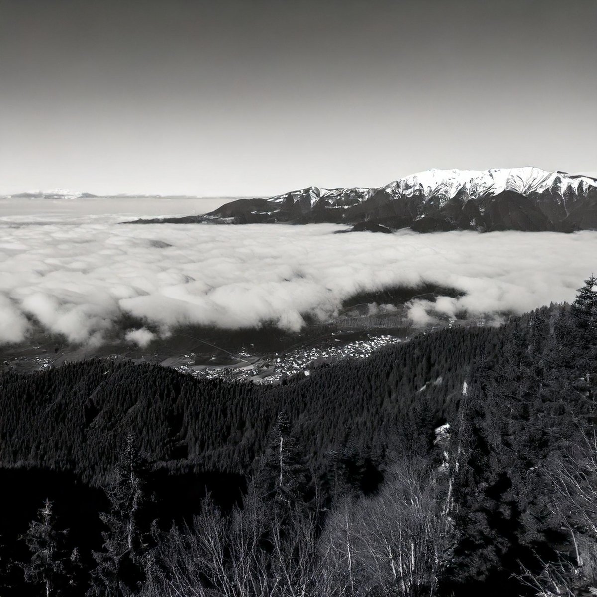 Firefly Mountain Piatra Craiului seen from Rasnov Fortress, in black and white, with snow caps on to