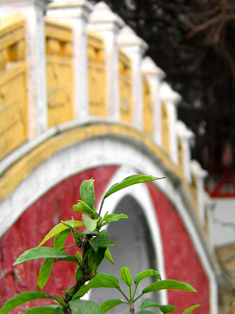 bridge_bokeh_dpc.jpg