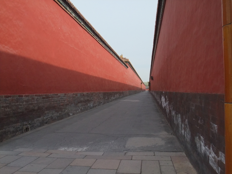 DSCF0513.JPG