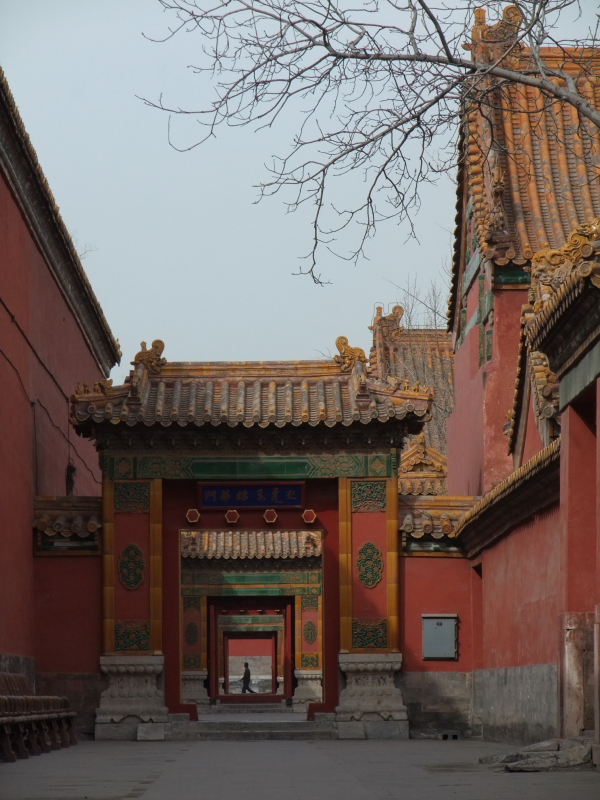 DSCF0534.JPG