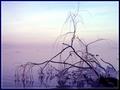 Winter on the Lake 2