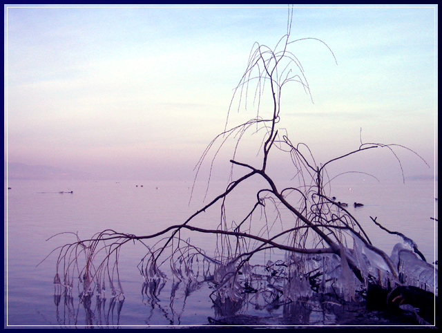 Winter on the Lake 2