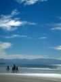 beach1.1.jpg