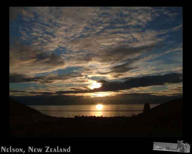 Nelson